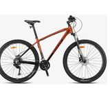 Kron XC 300 29 Jant HD 2025 Model 19 inç Mat Dağ Bisikleti