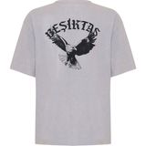 Krtlyvs Beşiktaş Erkek T-Shirt 7626107 - Gri