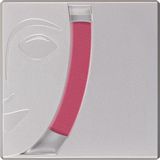 Kryolan Allık Blusher 05191 R21
