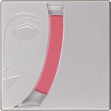 Kryolan Allık Blusher 05191 R9