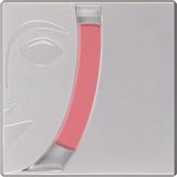 Kryolan Allık Blusher 05191 T0