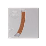 Kryolan Allık Blusher 2,5g 05191 TC2