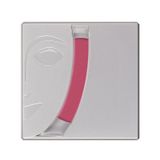 Kryolan Blusher Matt Allık R21 2.5 g