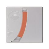 Kryolan Blusher Matt Allık TC2 2.5 g