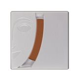 Kryolan Blusher Matt Allık TV Brown 2.5 g