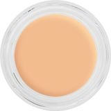 Kryolan Digital Complexion Cream Y25 Fondöten