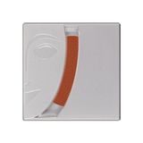 Kryolan Işıltılı Allık Blusher 05191 665G - SUNLIT