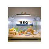 ks decor and design Akvaryum Kumu Sarı Silis Fırınlanmış 5 KG
