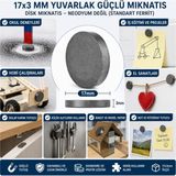 KSB Store Mıknatıs 17X3 mm Yuvarlak Güçlü Mıknatıs Disk Mıknatıs