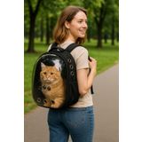 Ksburda Astronot Şeffaf Pencereli Kedi Taşıma Sırt Çantası – Uçak, Kabin Uyumlu, 9 Hava Kanallı, Konforlu