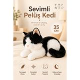 KTS SHOP 35 cm Sesli Miyavlayan Peluş Kedi Yumuşak Oyuncak Kedi Uyku ve Oyun Arkadaşı