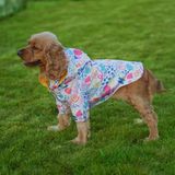 Kuccu Kuccu Beyaz Köpek Yağmurluğu Medium