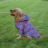 Kuccu Kuccu Tasarım Mor Köpek Yağmurluğu Small