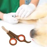 Küçük Çelik Uçlu Kedi Köpek Evcil Hayvan Tırnak Makası Pati Bakım Aleti Ergonomik Kaymaz Sap-1 Adet