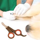 Küçük Çelik Uçlu Kedi Köpek Evcil Hayvan Tırnak Makası Pati Bakım Aleti Ergonomik Kaymaz