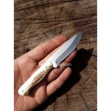 Küçük Geyik Boynuzu Bıçak 14,5Cm Toplam Uzunluk 2,5Mm