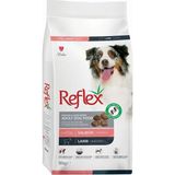 Küçük Hazine Somonlu ve Kuzu Etli Orta ve Büyük Irk Yetişkin Köpek Maması 10 kg