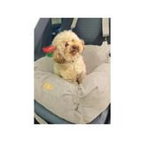 Küçük Irk Köpekler Için Penye Tulum Pijama, Happy Teddy, L Boy