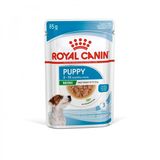 Küçük Irklar İçin Yavru Yaş Köpek Maması 12 X 85G