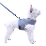 Küçük köpek koşum takımı ve tasma seti, yaz için küçük evcil hayvan koşumu, kaniş, pomeranian, chihuahua, minlature pinscher için ayarlanabilir yumuşak yastıklı köpek yeleği, 4,5 kg altında, düz gri