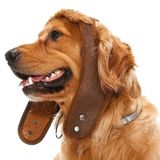 Küçük Orta ve Büyük Irk Köpek Şapka Pilot Kahve