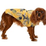 Küçük ve Orta Irk Köpek Gömlek Miika - Köpek Kıyafeti