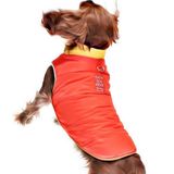 Küçük ve Orta Irk Köpek Mont Murpota Turuncu