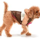 Küçük ve Orta Irk Köpek Mont Runa