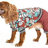 Küçük ve Orta Irk Köpek Paçalı Mont - Bado