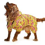 Küçük ve Orta Irk Köpek Paçalı Mont Bicorn
