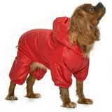 Küçük ve Orta Irk Köpek Paçalı Mont Hurit Kırmızı