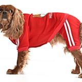 Küçük ve Orta Irk Köpek Pijama Tulum - Goba - Köpek Kıyafeti
