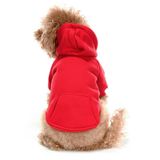 Küçük ve Orta Irk Köpek Sweatshirt - Marmit Kırmızı - Köpek Kıyafeti