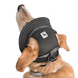 Küçük ve Orta Irk Köpekler için Şapka Meloni - Siyah