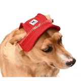 Küçük ve Orta Irk Köpekler için Şapka Meloni