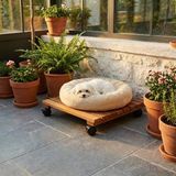 Kuçuletto - Köpek Yatağı Bazası – Masif Teak - Yerden Yüksek Hijyenik Palet - 40x40 cm tekerlekli - Ahşap