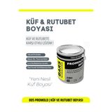 Küf Ve Rutubet Önleyici Boya – Nefes Alan, Anti Bakteriyel, Iç Dış Cephe Duvar Boyası 805
