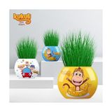 Kukuli Temalı Çim Adam 6'lı Set – Çocuklar İçin Eğitici ve Eğlenceli Bitki Yetiştirme Kiti