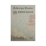 Kül İçinde Bahar - Zekeriya Tamir