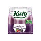 Kula Karadut ve Frenk Üzümlü Aromalı Doğal Mineralli Maden Suyu 200 ml x 24 Cam Şişe (6 x 4’lü Paket) - 24'lü
