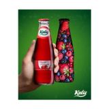 Kula Orman Meyveli Aromalı Doğal Mineralli Maden Suyu 200 Ml X 24 Cam Şişe (6 X 4’Lü Paket)