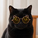 Kulaklı Kedi Güneş Gözlüğü 8 cm (Sarı)