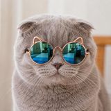 Kulaklı Kedi Güneş Gözlüğü 8 cm (Yeşi-Mavi Aynalı)