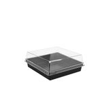 Kullanat Plastik Kare Pasta Kabı Seti 12x12x4,5 cm - 50 Adet