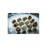 Kuluçkalık Bıldırcın Yumurtası 1 Paket 12 Adet