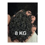 Kumstore Akvaryum Kumu Özel Elenmiş Siyah Bazalt Bitki Kumu 8 Kg