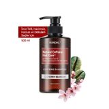 Kundal Kafein Içeren Dökülme Karşıtı Bakım Şampuanı Caffeine Scalp Shampoo 500ml (CHERRY BLOSSOM)