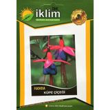 KÜPE ÇİÇEĞİ TOHUMU TAKRİBİ 50 ADET TOHUM