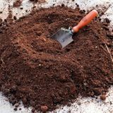 Küpeli Çiçeği Toprağı Torfu 9 Kğ Özel Karışım Bitki Toprağı