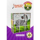 KÜPSS Safari Hayvanları Manyetik Küp Puzzle - 6 Farklı Yapboz